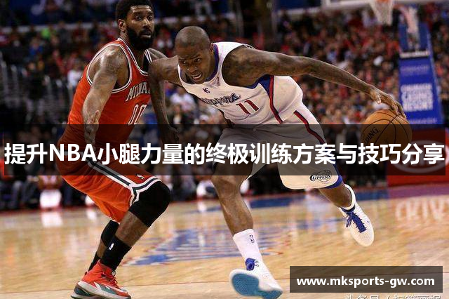 提升NBA小腿力量的终极训练方案与技巧分享