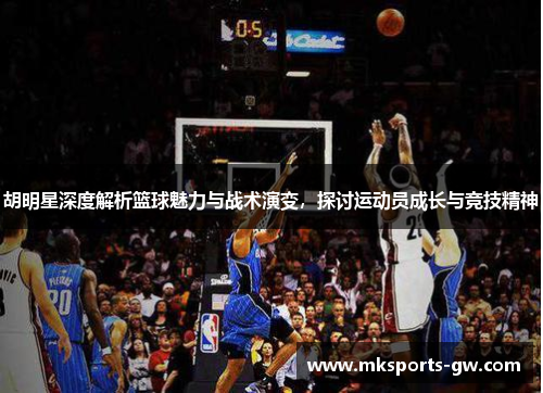 胡明星深度解析篮球魅力与战术演变，探讨运动员成长与竞技精神